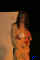 villon_2005_11.jpg (37895 Byte)